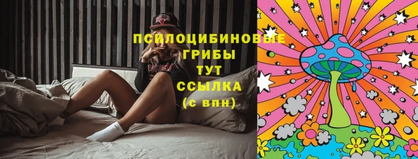 mix Горняк