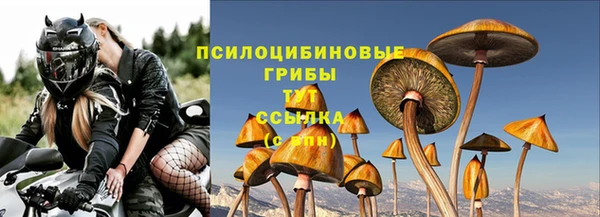 дживик Горно-Алтайск